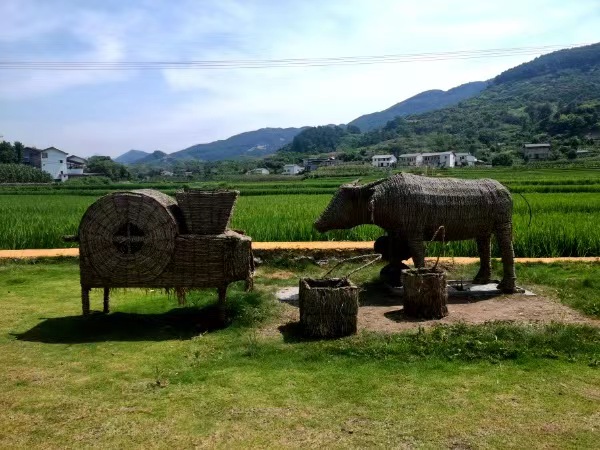 東升村稻園故鄉。徐雯瑄攝