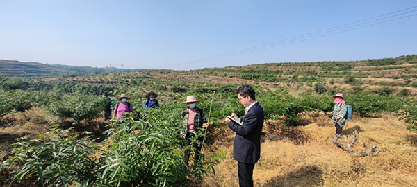 工作人員調研花椒種植基地。建行重慶市分行供圖