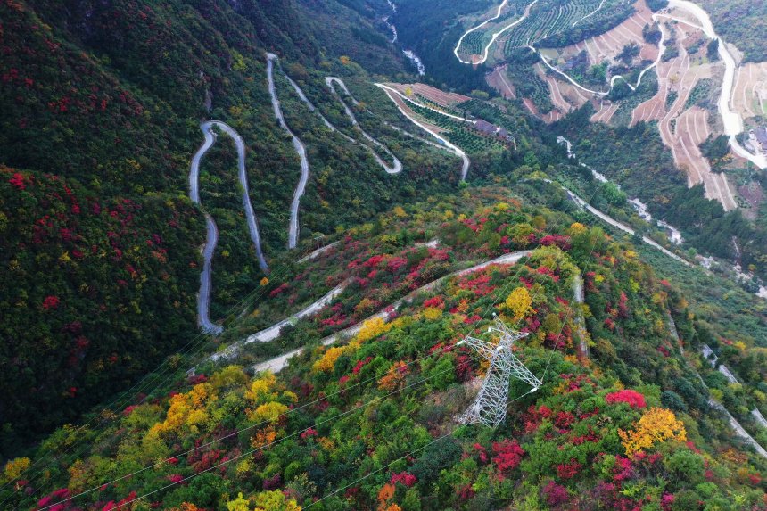 絕壁“天路”兩旁層林盡染，風(fēng)景如畫。王忠虎攝