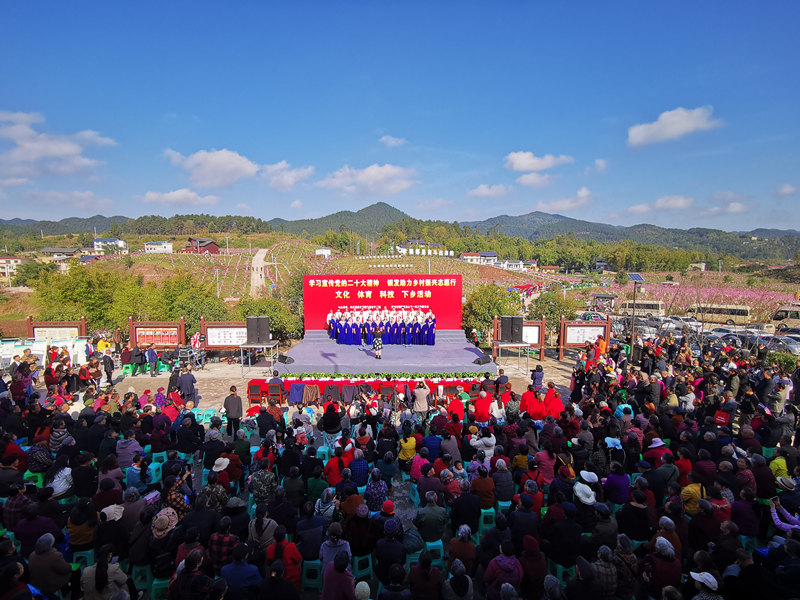 圍龍鎮(zhèn)開展2023年賞花季活動。張捍攝