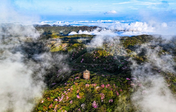 南川金佛山景區。景區供圖