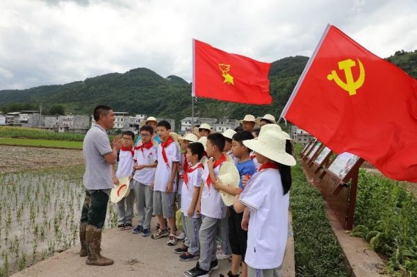 走進實踐基地開展勞動實踐活動。巫溪縣珠海實驗小學(xué)校供圖