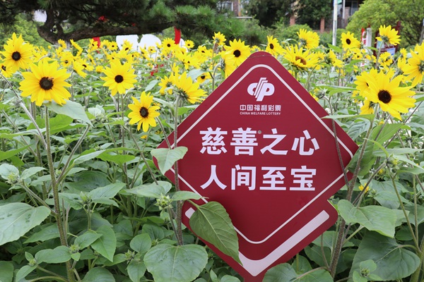 天衢公園既是一座愛情主題公園，也是一座福彩愛心公園。重慶福彩供圖